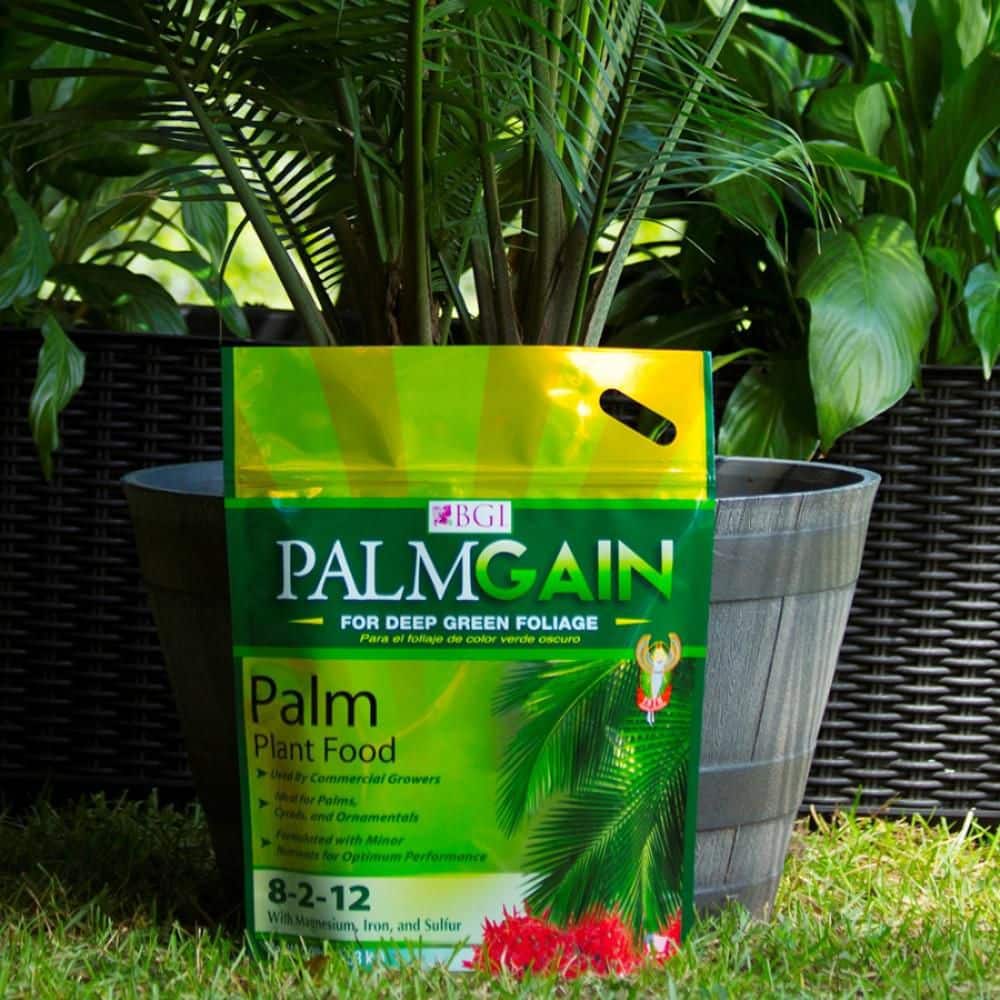 10 lbs. 8-2-12 Palm Plant Food Dry Fertilizer - Hercitys