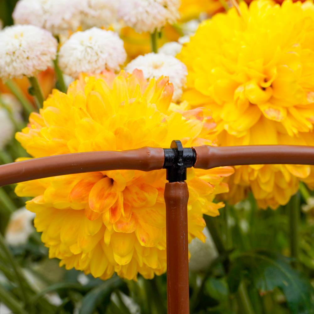 1/4 in. Barb Tees (100-Pack) - Hercitys