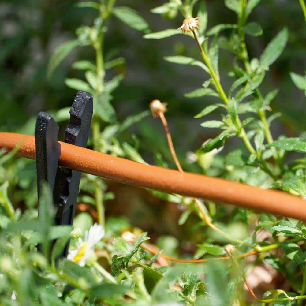 1/4 in. x 100 ft. Poly Flex Micro Tubing Roll, Brown - Hercitys