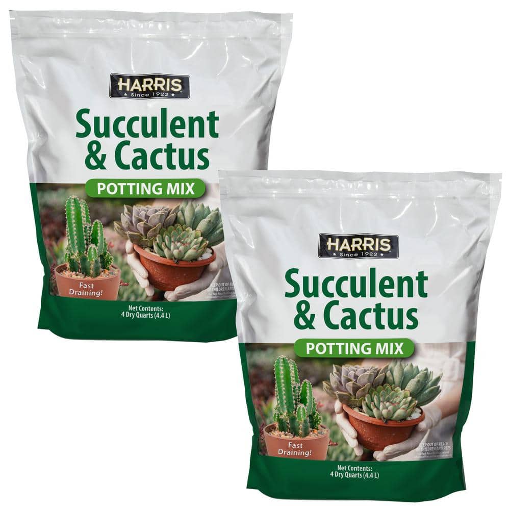 4qt. Succulent and Cactus Potting Soil Mix (2-Pack) - Hercitys