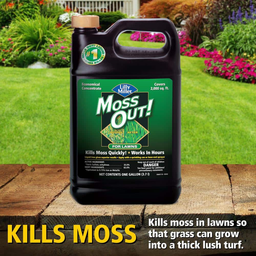 1 gal. 2,000 sq. ft. Lawn Moss Killer Concentrate - Hercitys