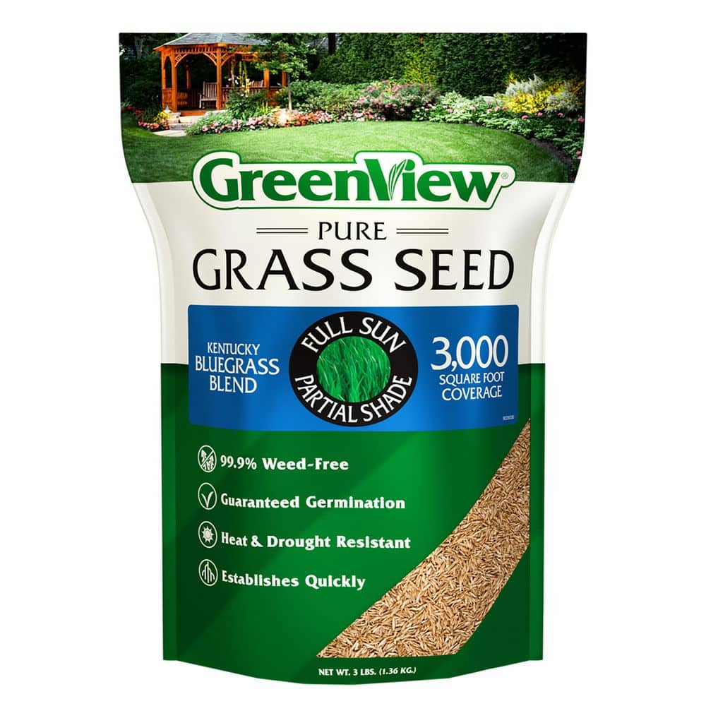3 lbs. Pure Grass Kentucky Bluegrass Blend – Covers up to 3,000 sq. ft. - Hercitys