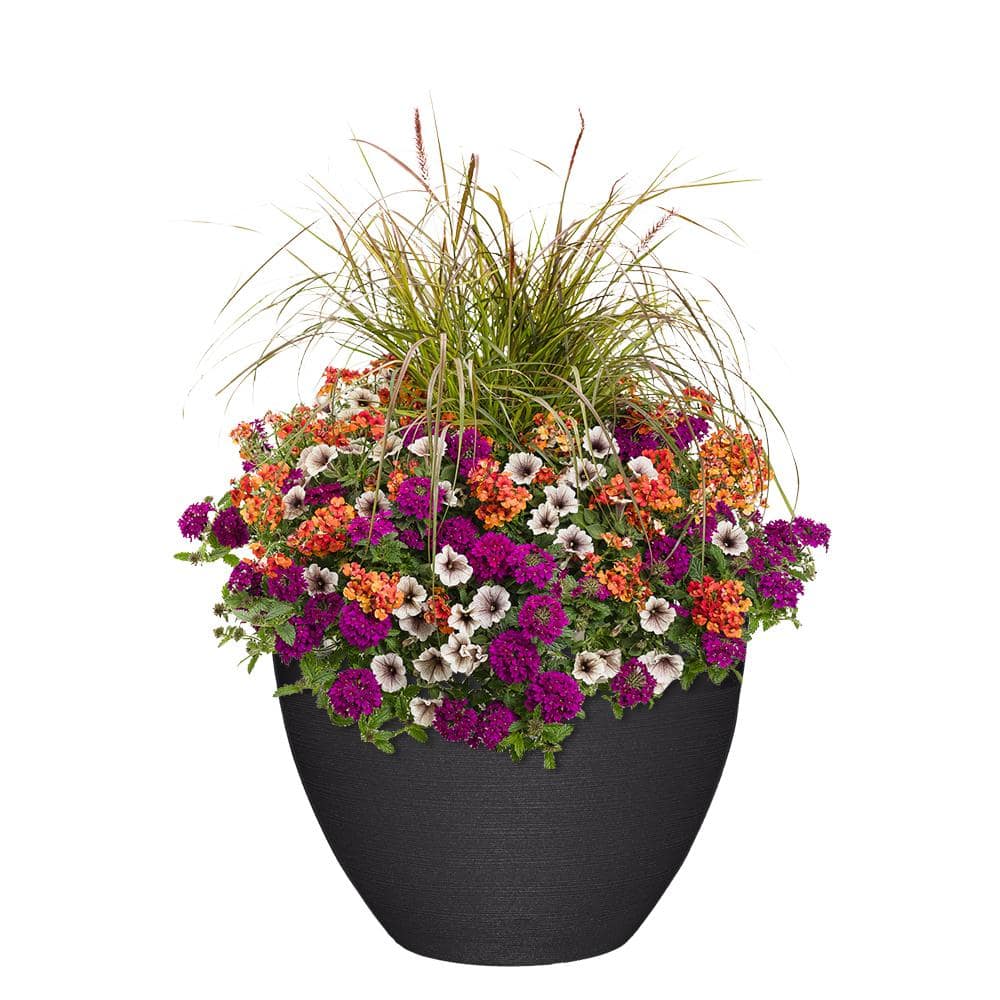 20 in. Decatur Black Resin Planter - Hercitys