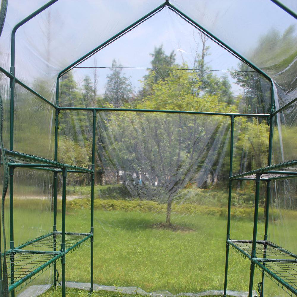 56 in. L x 56 in. W x 76 in. H Mini Walk-in Metal Greenhouse 2-Tier 8-Shelves Transparent - Hercitys