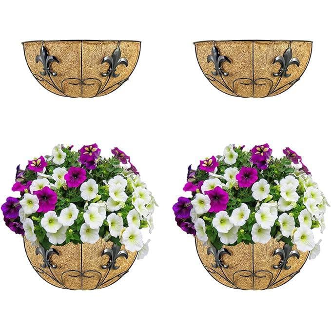 16 in Metal Wall Mount Plant Basket (2-Pack) - Hercitys