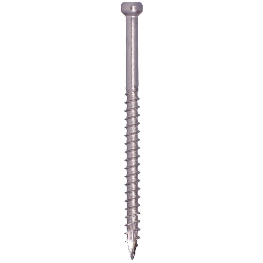 #8 x 3-1/8 in. Pheinox Stainless Steel Star Drive Trim Head Fin/Trim Finishing Screw (100-Pack) - Hercitys