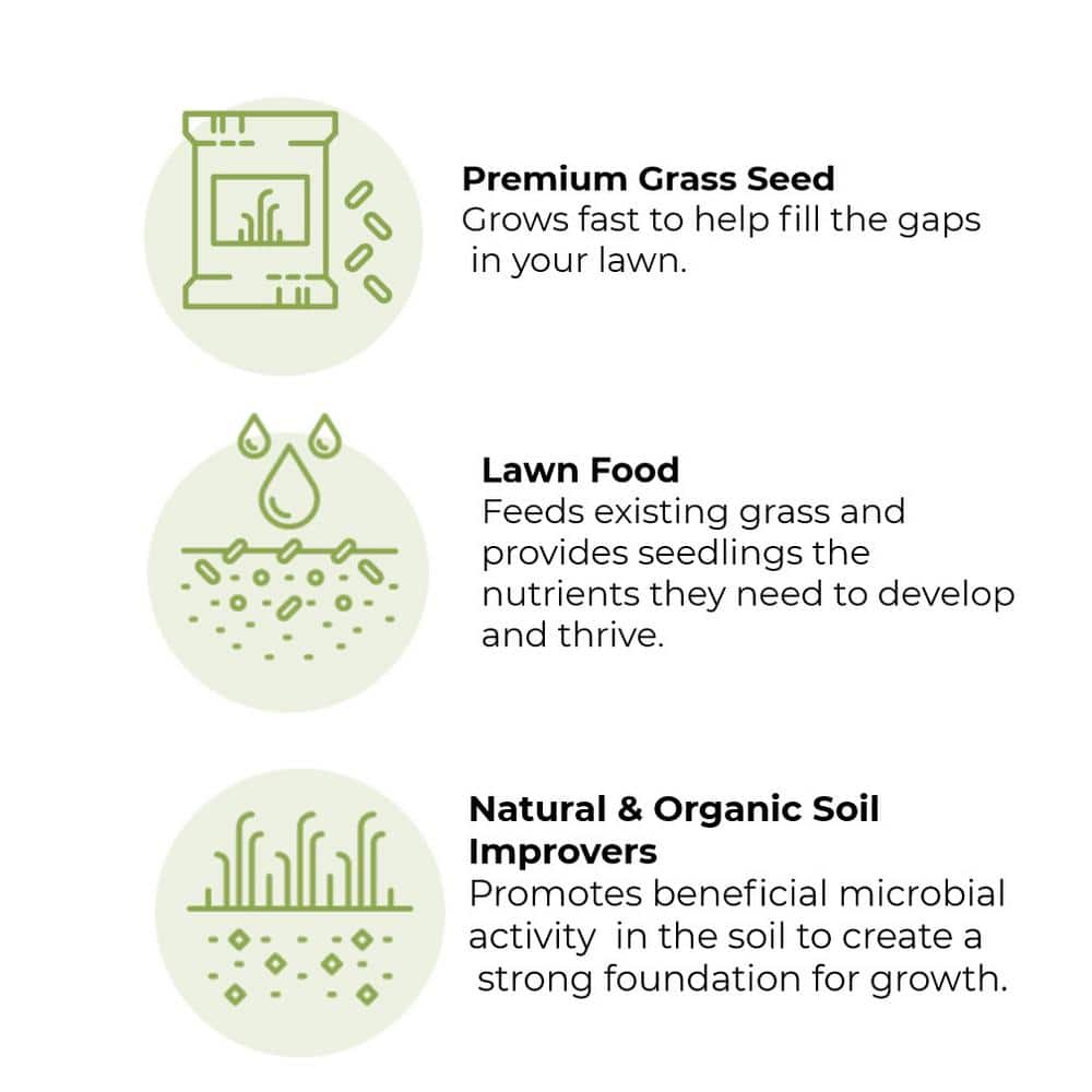 12 lbs. 1-Step Lawn Thickener All-In-One Grass Seed and Fertilizer Sun and Shade Overseeding Mix - Hercitys