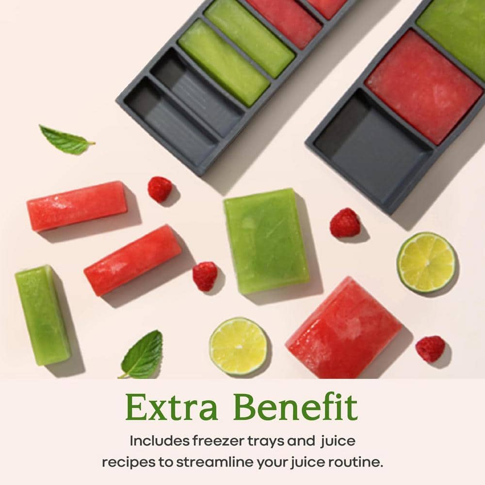 200-Watt Masticating Juicer 4.3 in. Large Feed Chute Fit Whole Fruits Vegetables - Hercitys