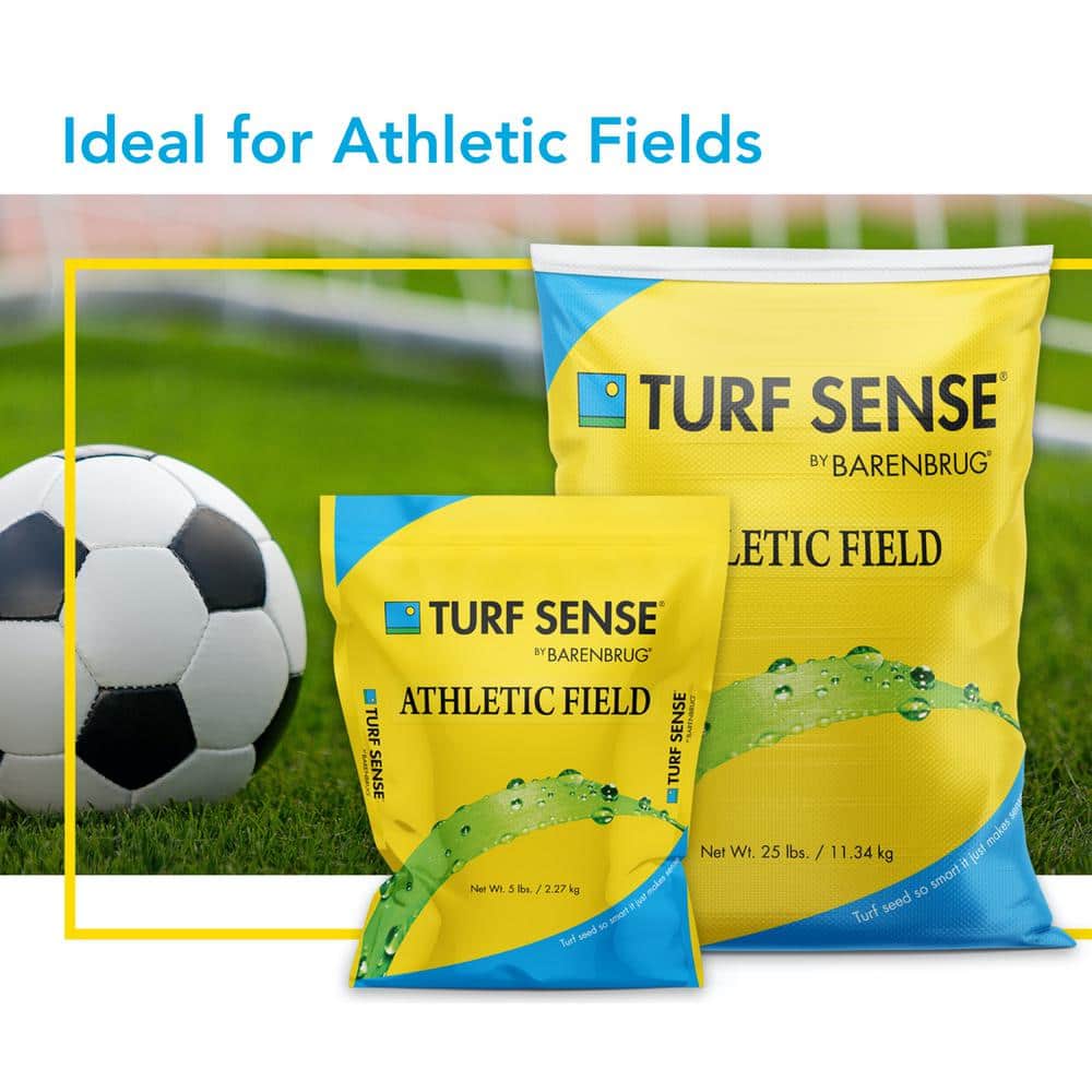 25 lbs. 5,000 sq. ft. Turf Sense Athletic Field Mix Grass Seed - Hercitys