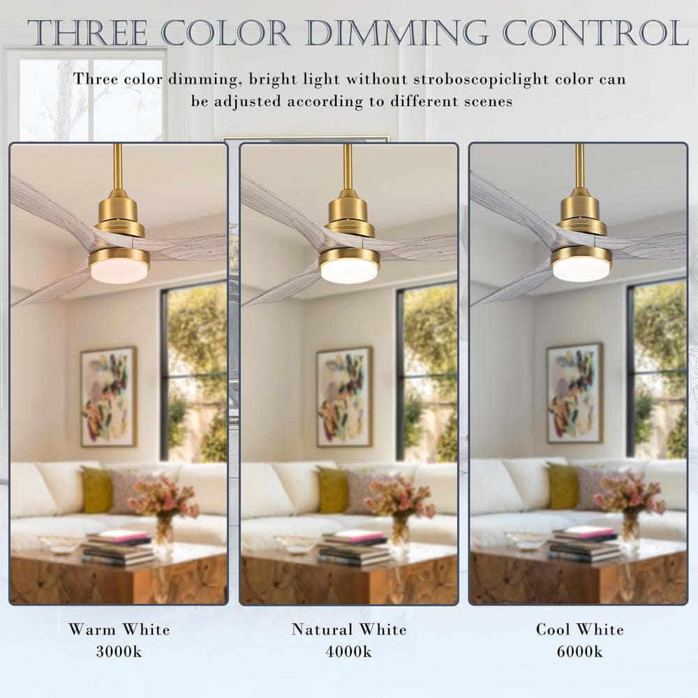 52 in. Indoor/Outdoor Gold Modern Ceiling Fan with LED Light and Remote - Hercitys