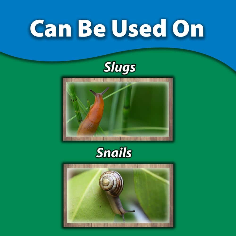 1 lb. Sluggo - Hercitys