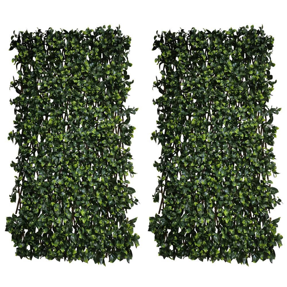 50.05”H x 32.05”W Closing Size Expandable Decorative Plastic Gardenia Leaf Fence Privacy Screen Patio Outdoor (2-Pack) - Hercitys