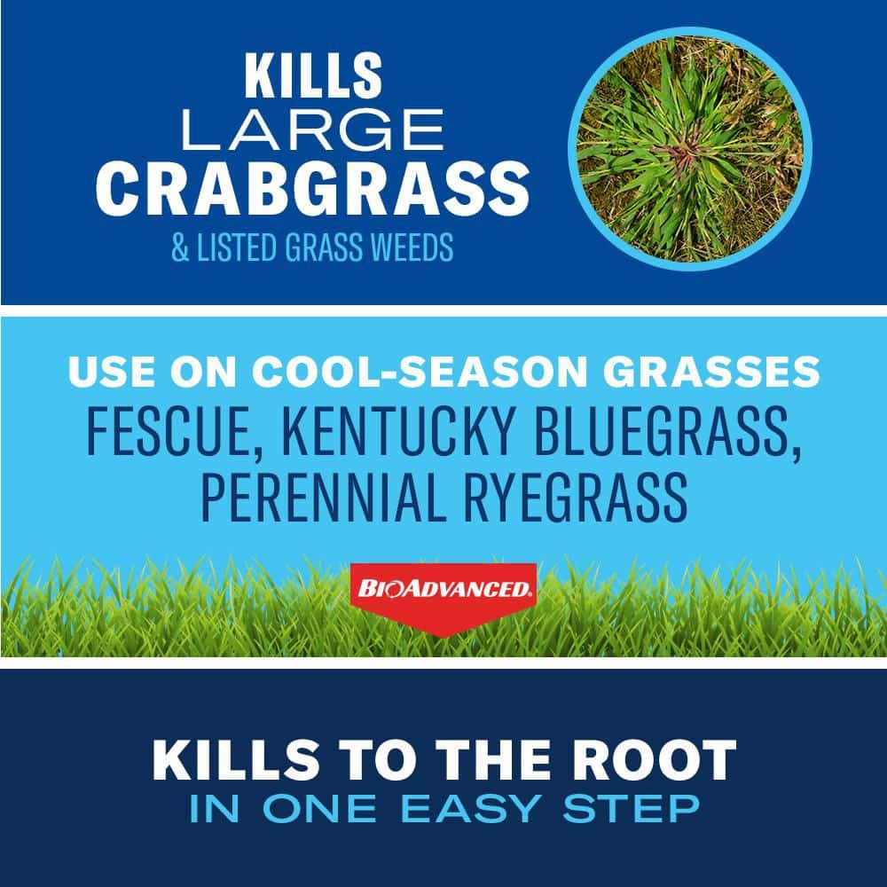 32 oz. Ready to Spray Extreme Crabgrass Killer for Lawns - Hercitys
