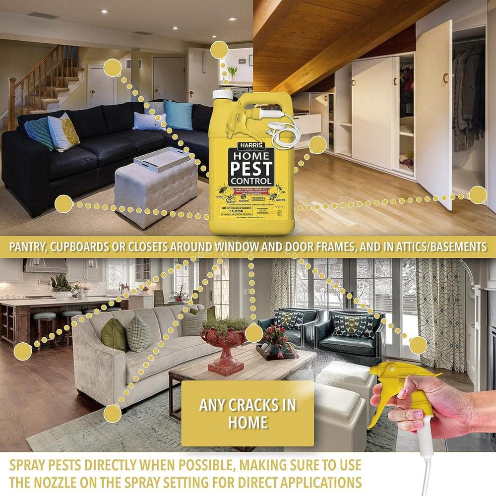1 Gal. Home Pest Control Insect Killer Spray (2-Pack) - Hercitys
