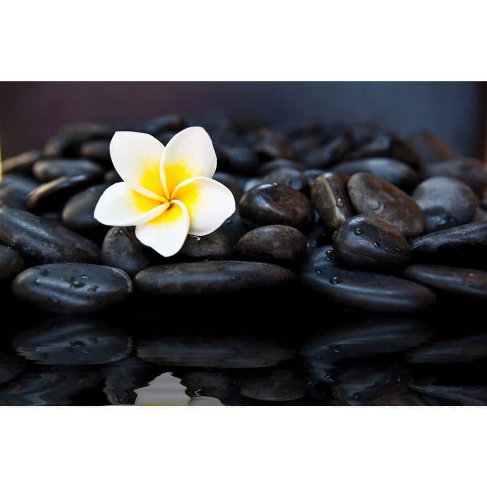 3/4 in. to 1.5 in. Polished Black Pebbles (20 lbs. Bag) - Hercitys