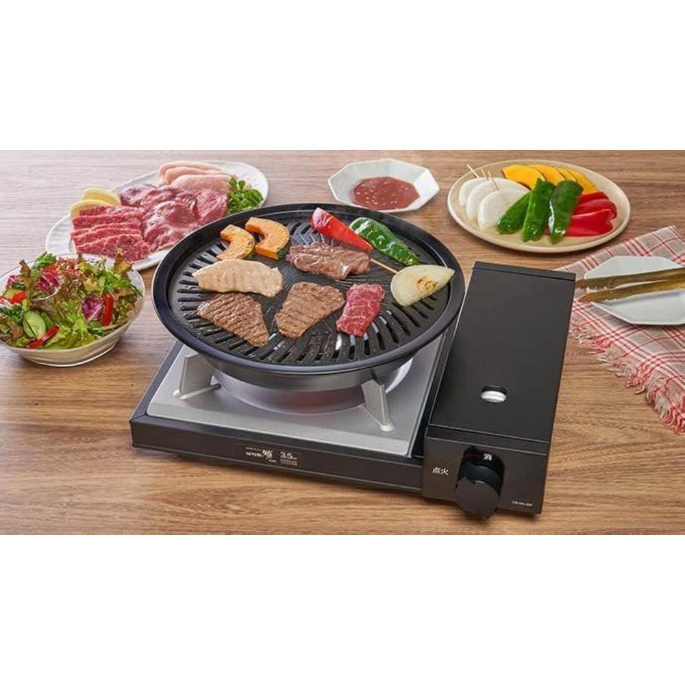 10.8 in. Die-Cast Alloy Steel BBQ Grill Pan-Healthy Cooking-Easy Clean-9.8 in. Plate Diameter - Hercitys