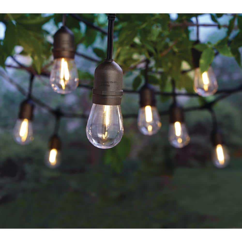 12-Light 24 ft. Indoor/Outdoor Plug-in S14 Single Integrated LED Edison String-Light - Hercitys