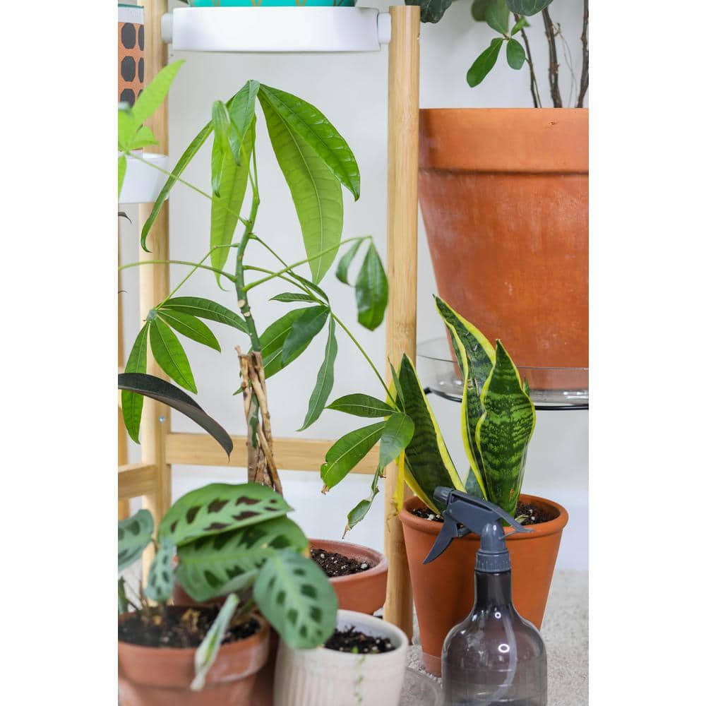 1 ft. 6 in. 83-Watt Black Grow Light, Day Light - Hercitys