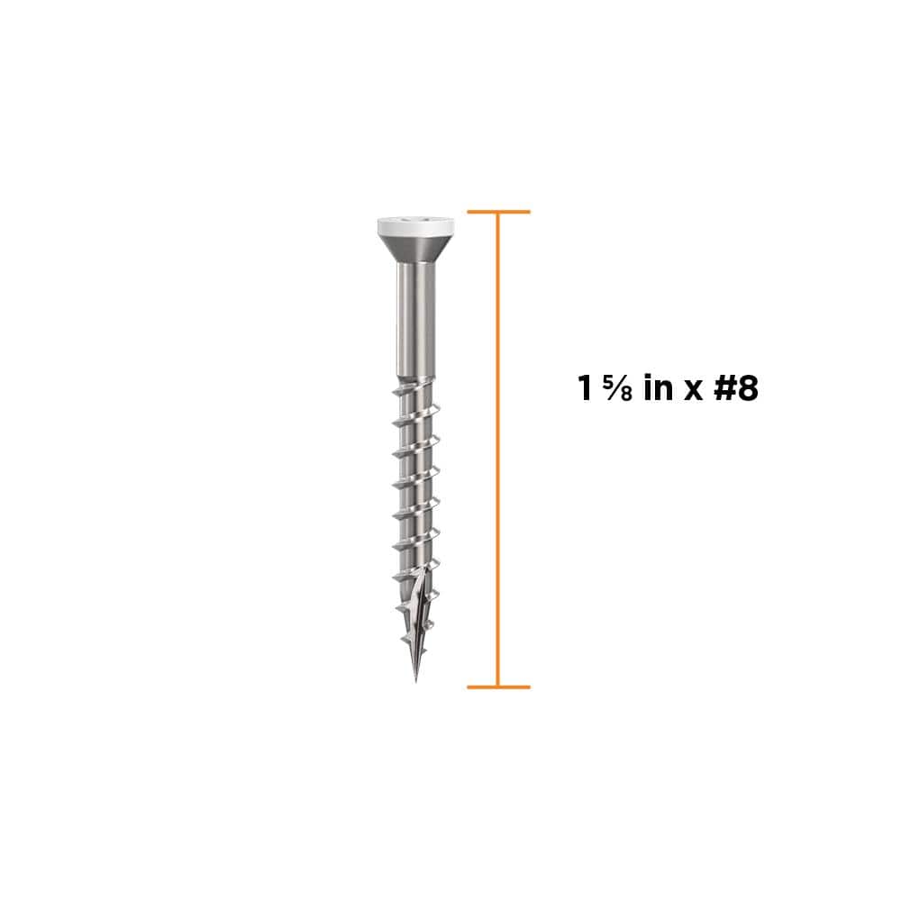 1-5/8 in. #8 316 Stainless Steel White Premium Star Drive Trim Screws (100-Count) - Hercitys