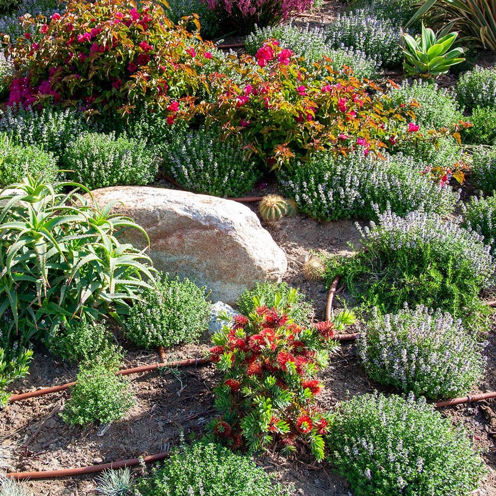 1/2 in. x 250 ft. 1-GPH Pressure Compensating Emitter Tubing with 18 in. Spacing - Hercitys