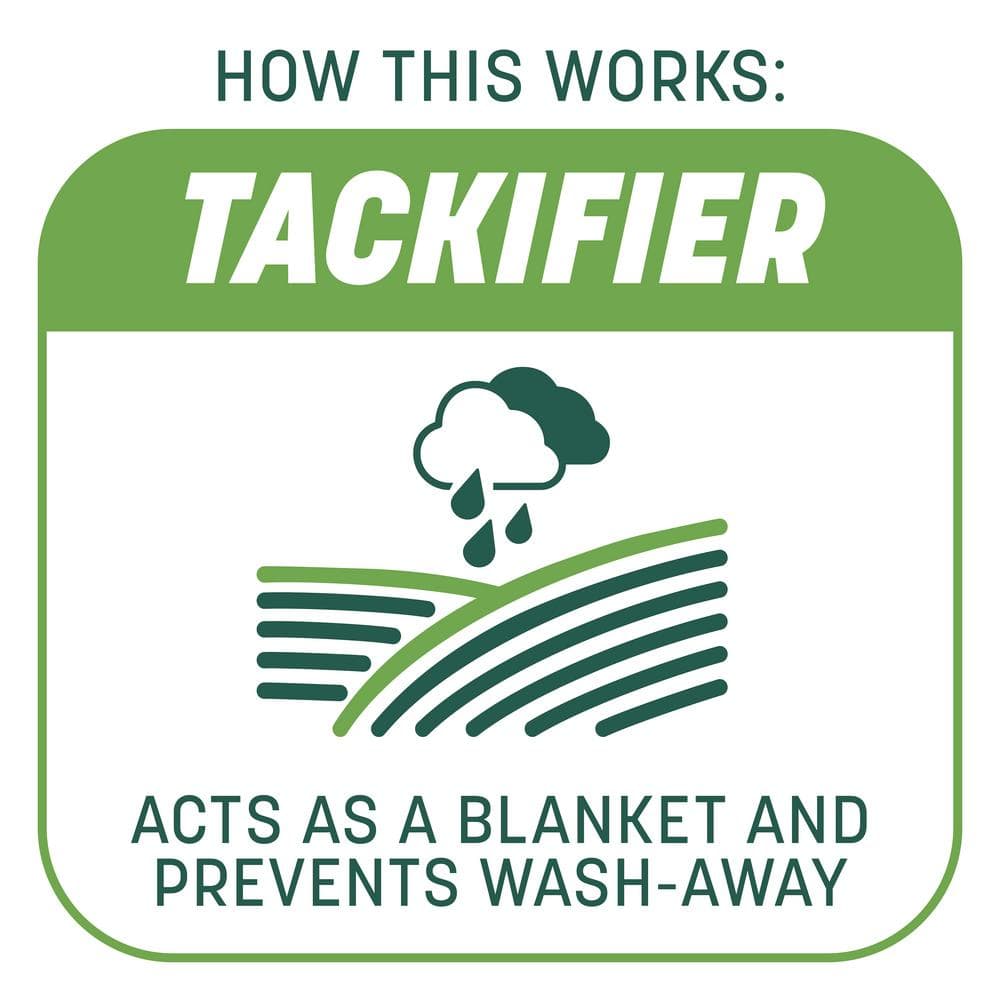 10 lbs. Smart Patch Tall Fescue West Grass Seed with Mulch, Fertilizer - Hercitys