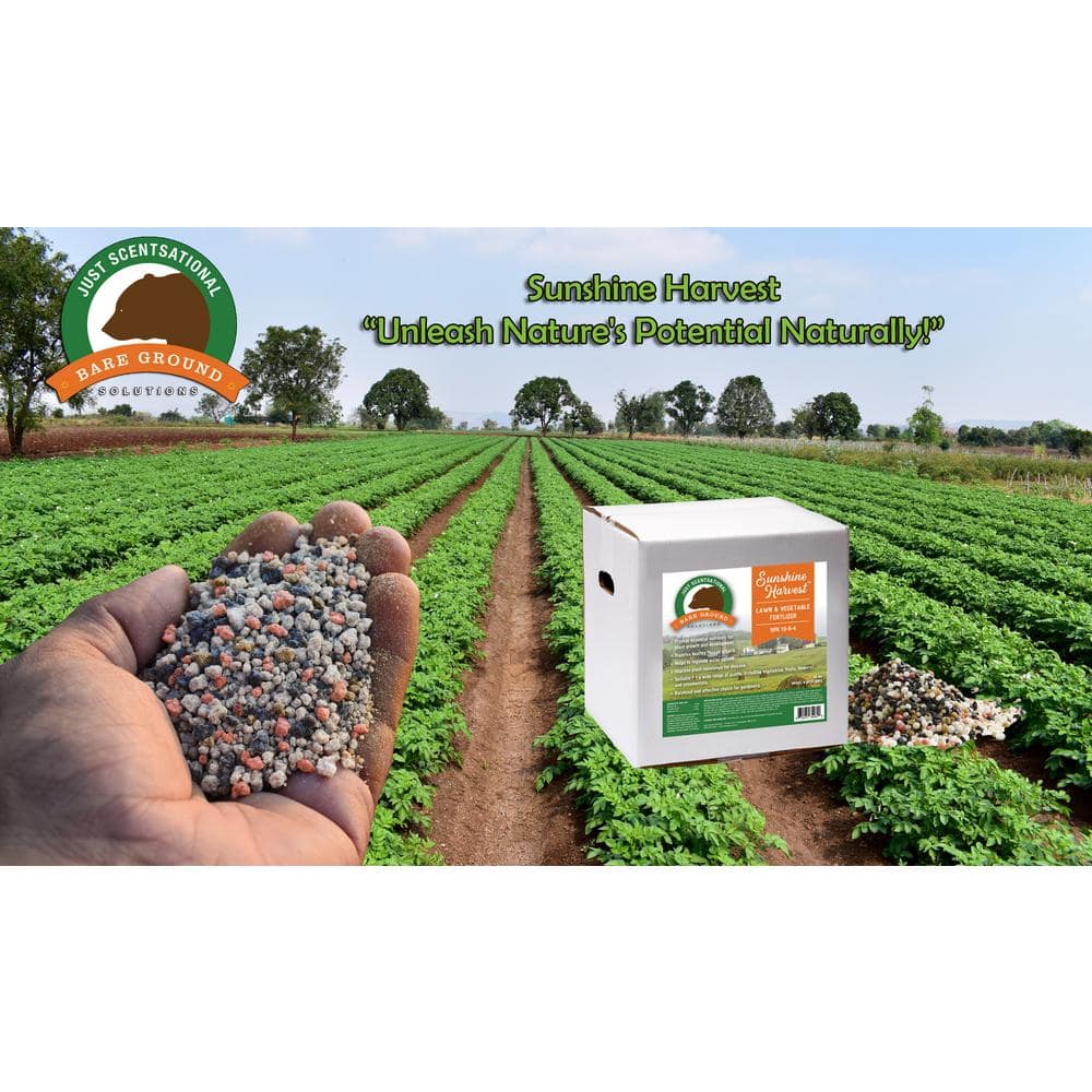 40 lbs. Box Lawn and Vegetable Fertilizer NPK 10-6-4 - Hercitys