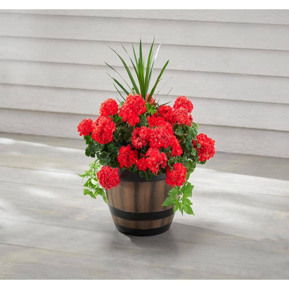 20 in. Reedley Large Kentucky Walnut Brown Resin Wine Barrel Planter (20 in. D x 14.5 in. H) - Hercitys