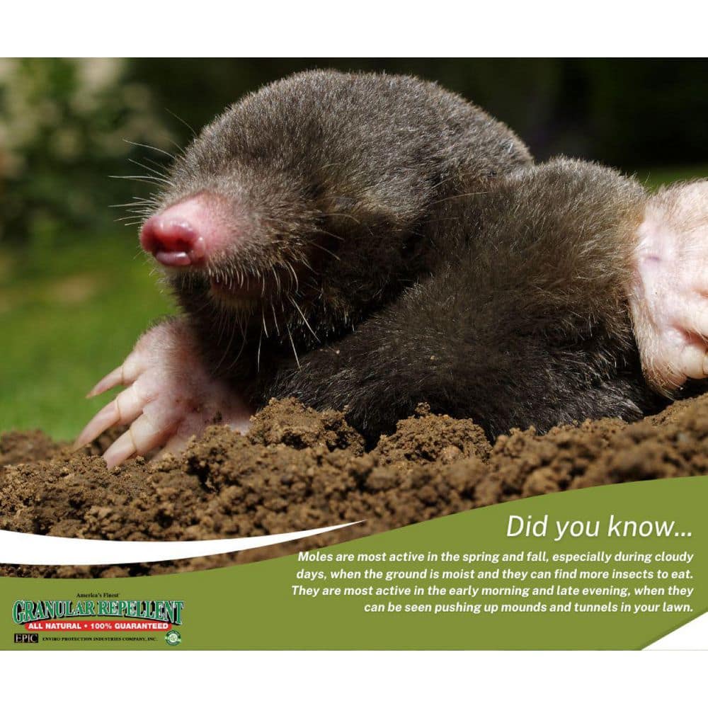 10 lbs. Granular Mole Repellent Bag - Hercitys