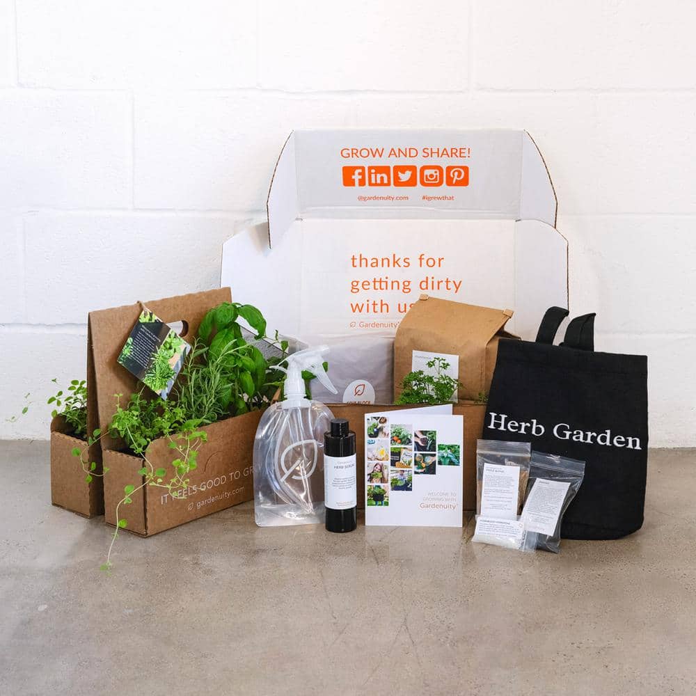 5 Gal. Portable Culinary Grow Bag Edible Herb Garden Kit with 4 Seasonal Plants - Hercitys