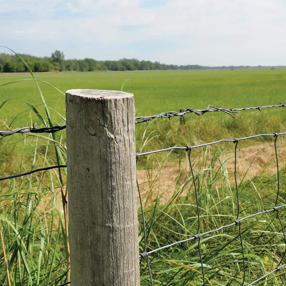 100 ft. 100 lb. 20-Gauge Multi-Purpose Wire - Hercitys