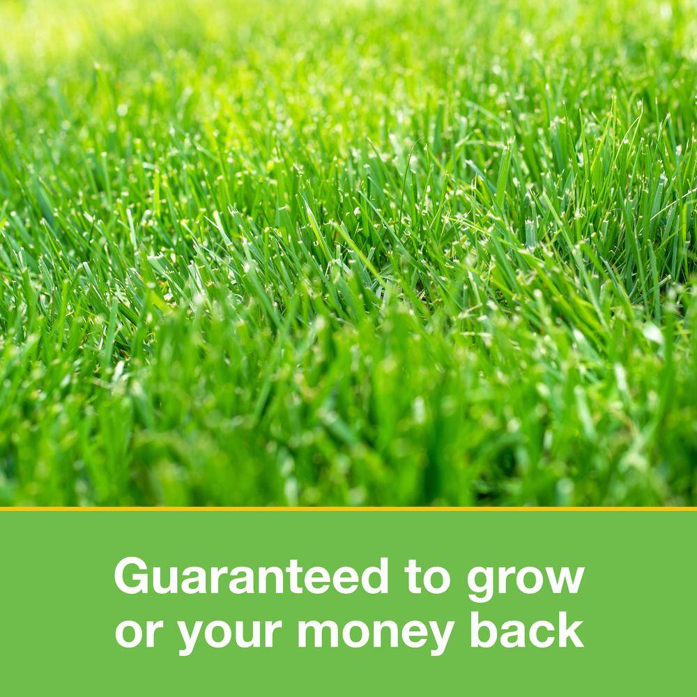 10 lbs. Patch and Repair Tall Fescue Grass Seed Mix - Hercitys