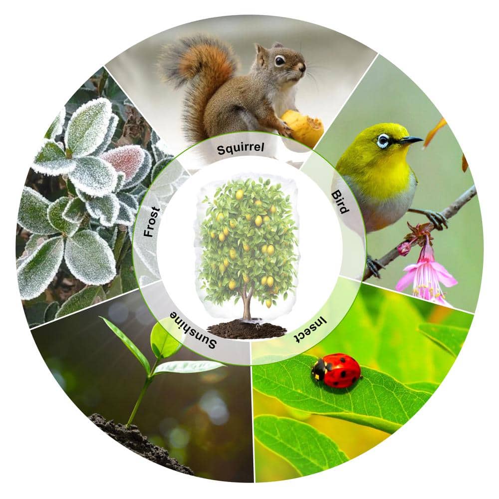 26 in. x 30 in. Garden Insect Netting Plant Cover in-Shape Bag with Rope Insect Barrier Outdoor - Hercitys