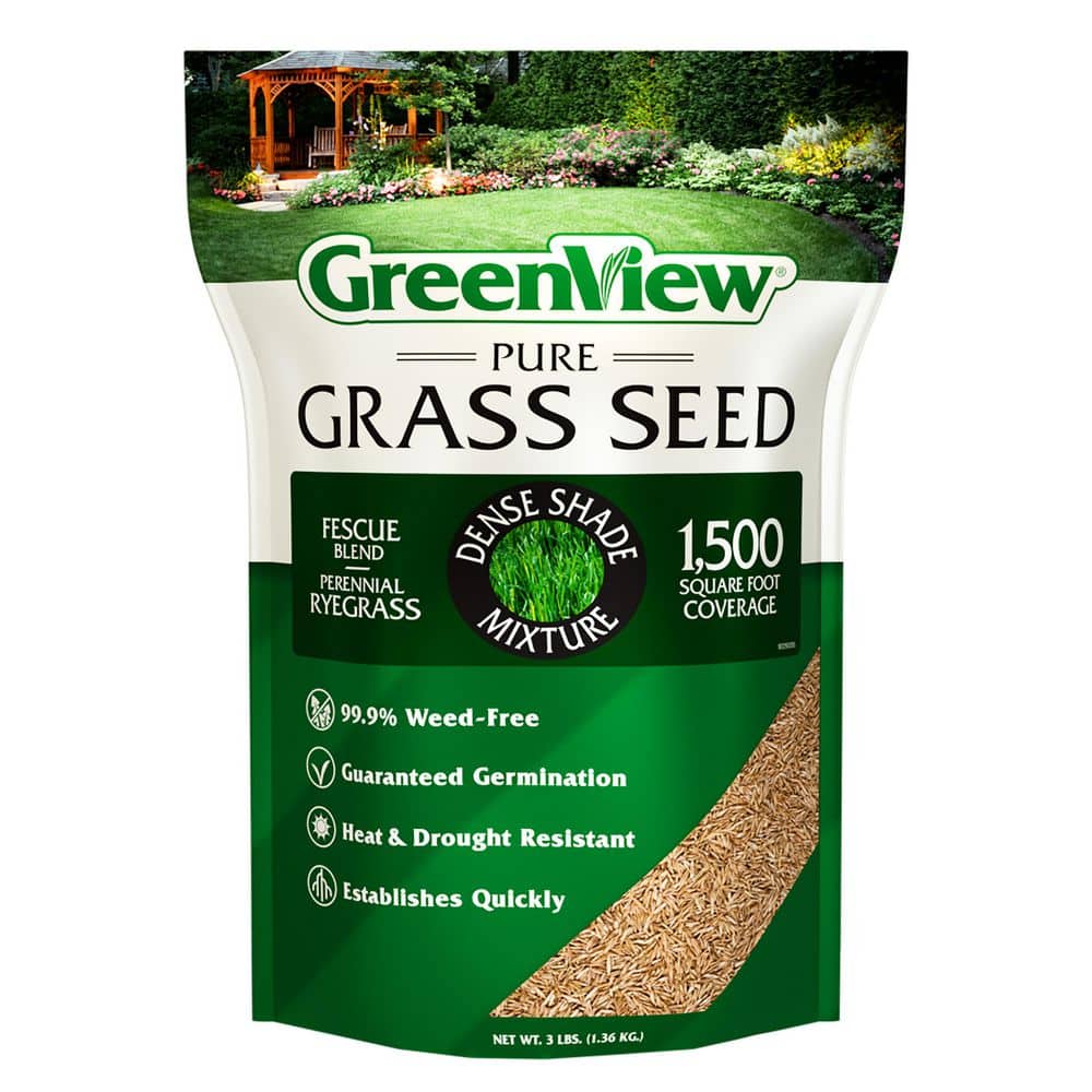 3 lbs. Pure Grass Seed Dense Shade Mixture – Covers up to 1,500 sq. ft. - Hercitys