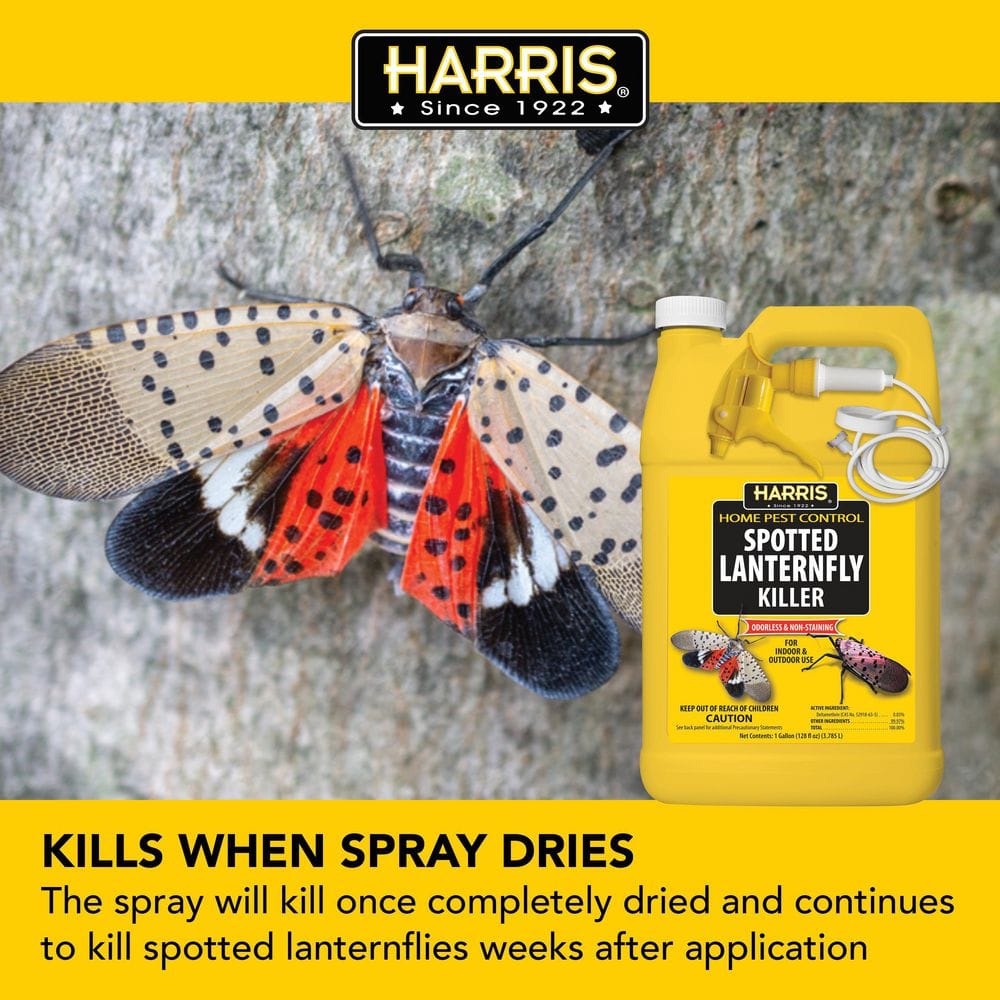 1 Gal. Spotted Lanternfly Killer (2-Pack) - Hercitys