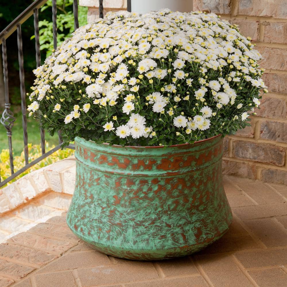 100 ft. Patina Steel Hammered Hose Pot Garden Hose Reel - Hercitys