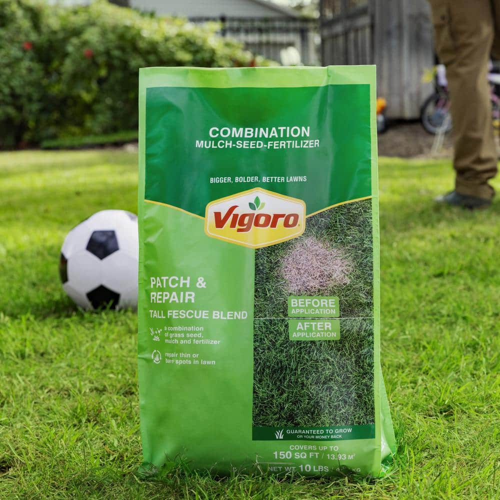10 lbs. Patch and Repair Tall Fescue Grass Seed Mix - Hercitys