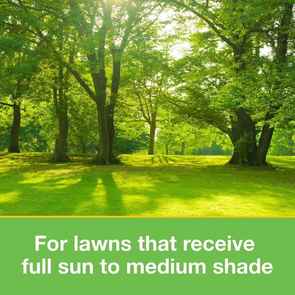 10 lbs. Patch and Repair Tall Fescue Grass Seed Mix - Hercitys