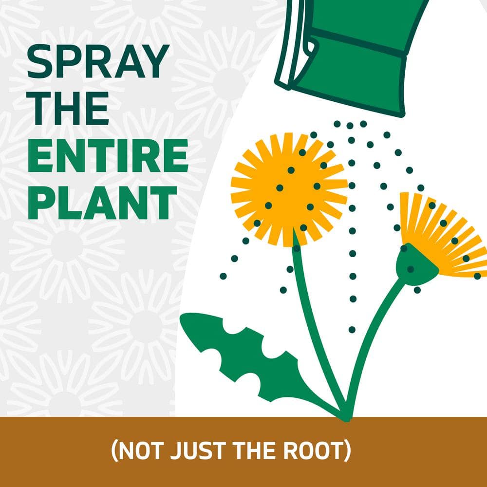 10 oz. EZ Aim Spray Weed and Grass Killer- Twin Pack - Hercitys