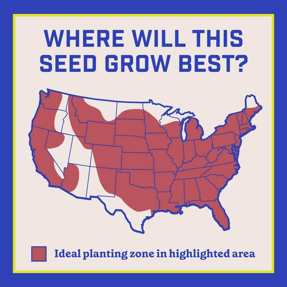 3 lbs. 10,000 sq. ft. Backyard Habitat Seed - Hercitys