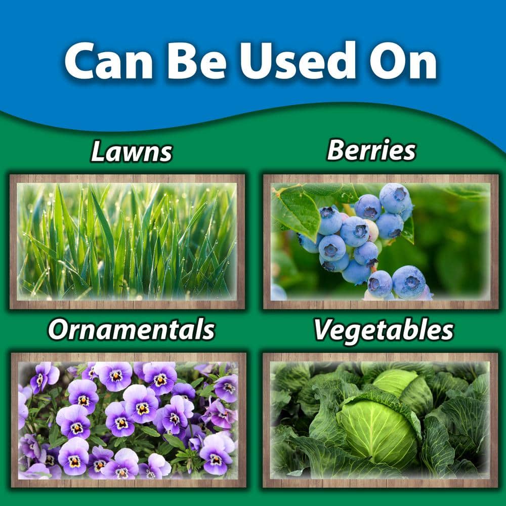 5 lb. Sluggo - Hercitys