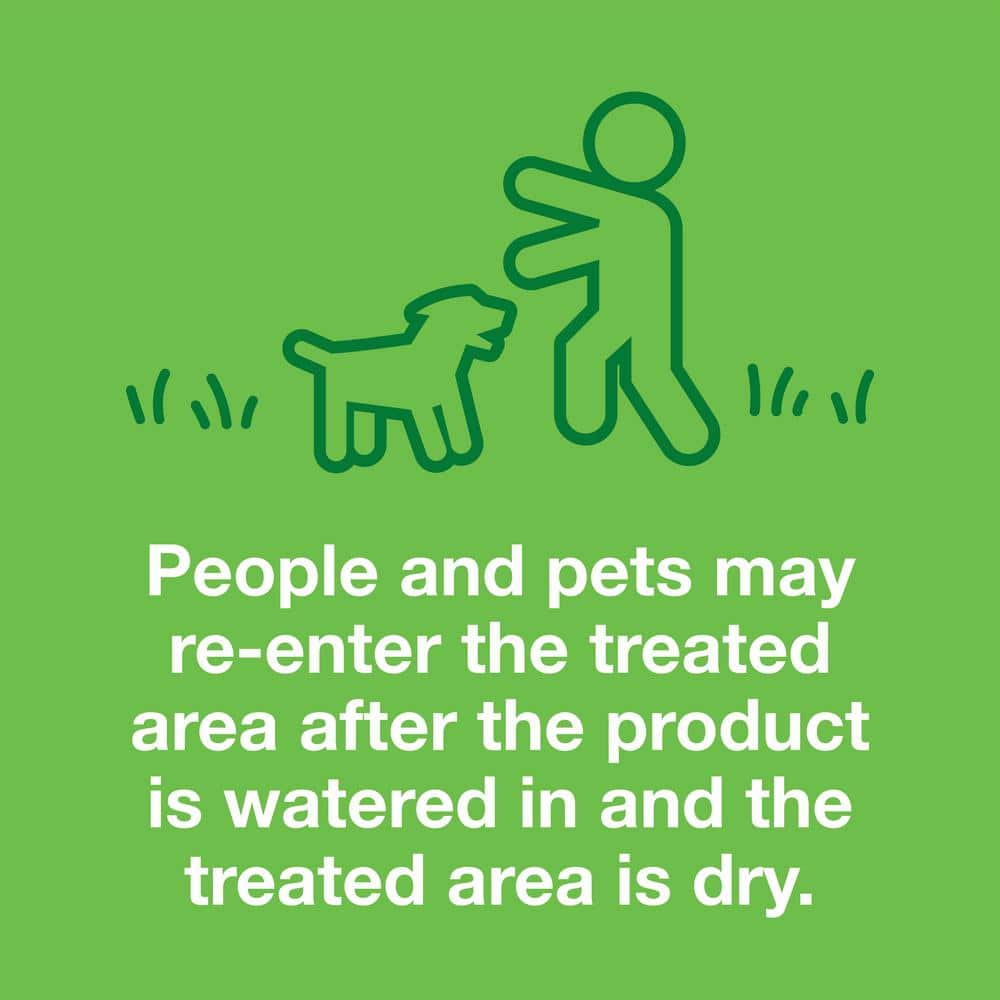 10 lbs. Patch and Repair Tall Fescue Grass Seed Mix - Hercitys