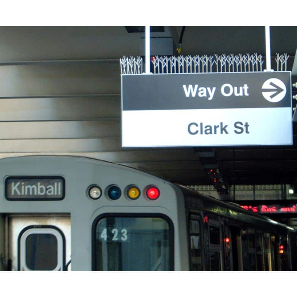 100 ft. Plastic Bird Spikes - Hercitys