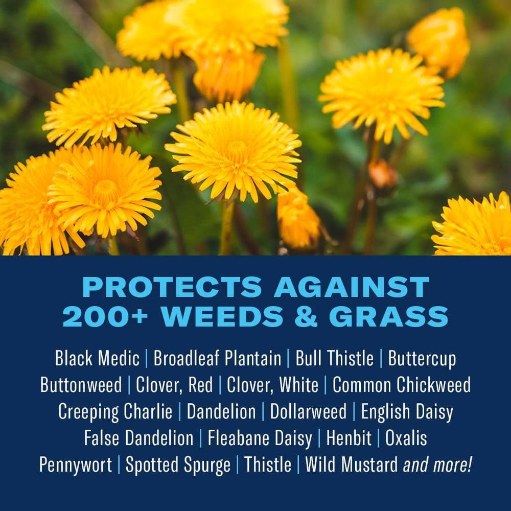 32 oz. Lawn Weed Killer Concentrate For Southern and Northern (2-Pack) - Hercitys