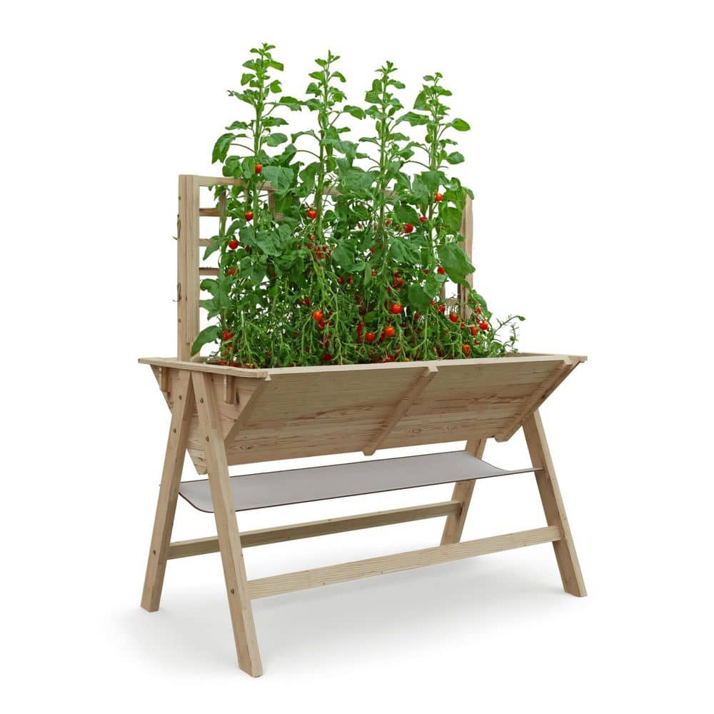 52 in. x 30 in. x 54 in. Unfinished Wood Elevated Garden Planter Raised Bed with Trellis and Legs for Climbing Plants - Hercitys