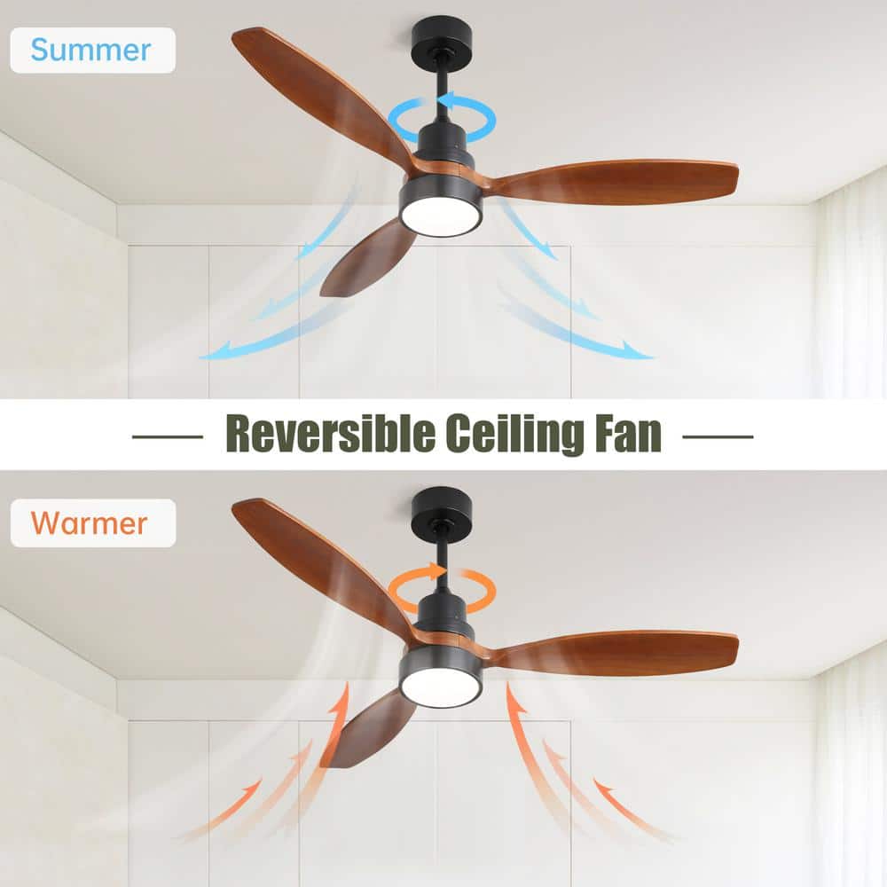 4.3 ft. Black Ceiling Fan with Light and 3 Solid Wood Blades Remote Control Reversible DC Motor 52 in. LED Fan Light - Hercitys