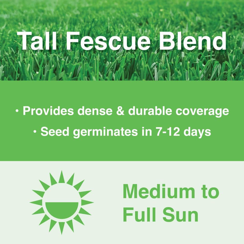 3 lbs. Tall Fescue Grass Seed Blend with Water Saver Seed Coating - Hercitys