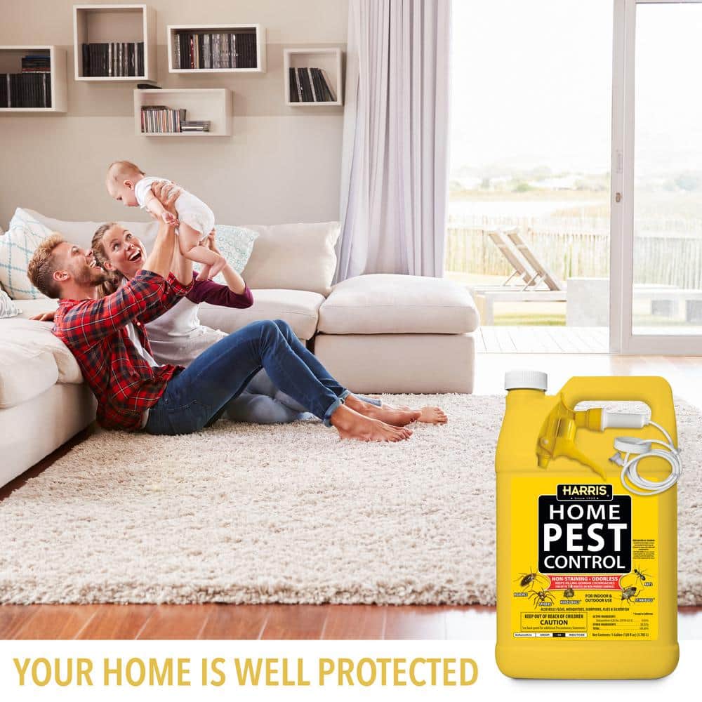 1 Gal. Home Pest Spray and Pest Glue Board (5-Pack) - Hercitys