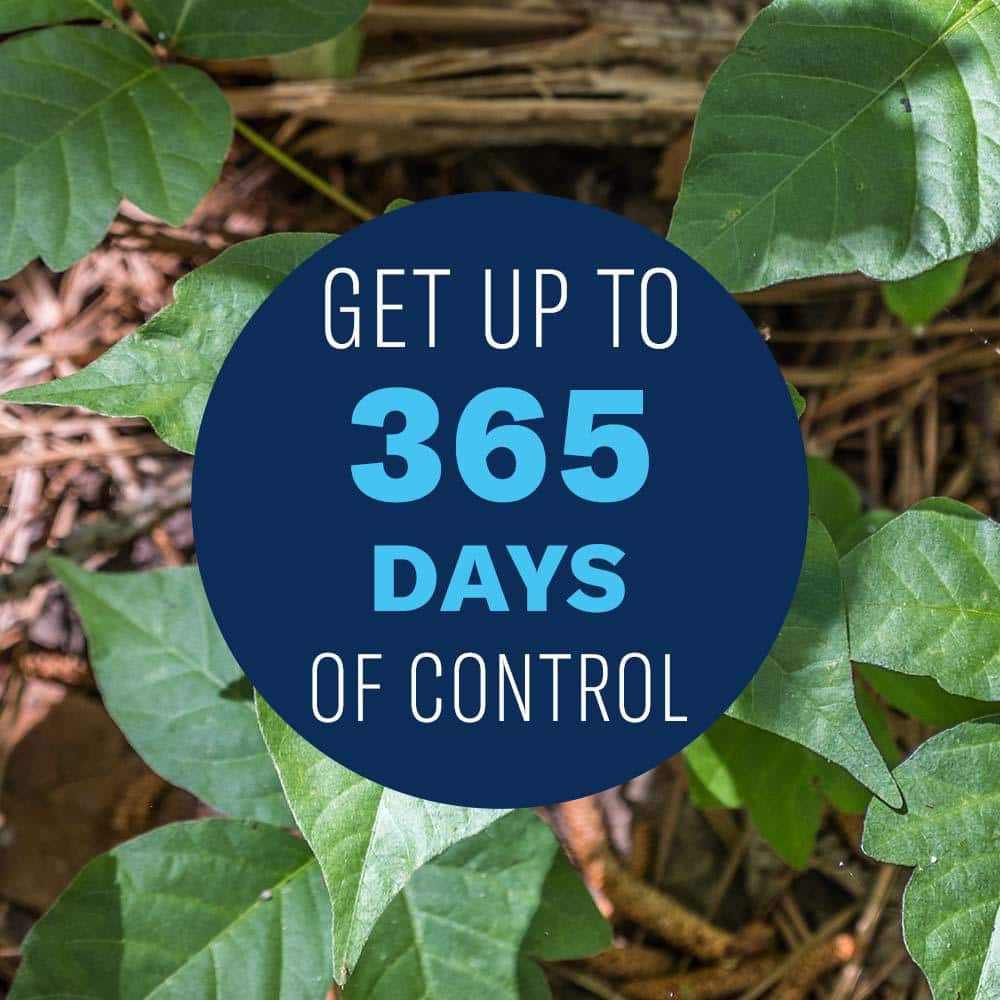 1 Gal. Ready to Use Extended Control Brush Killer - Hercitys