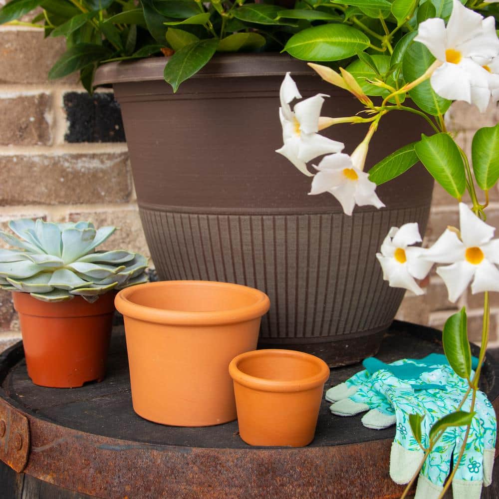 3 in. x 2 in. Small Terra Cotta Clay Cylinder Pot (32-Pack) - Hercitys