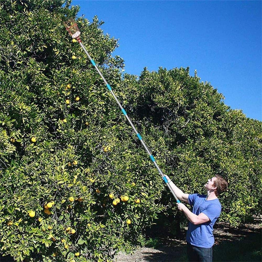 10 in. Tree Pruner Fruit Picker with Basket and Pole - Hercitys